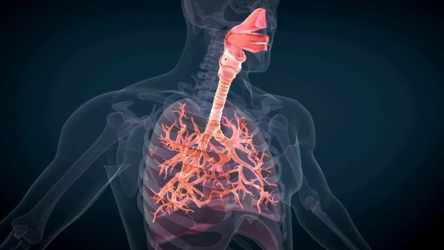 НЕОБРАТИМЫЕ ПРОЦЕССЫ в организме ИЗ-ЗА ТЕПЛОЙ ВОДЫ натощак! смотреть онлайн