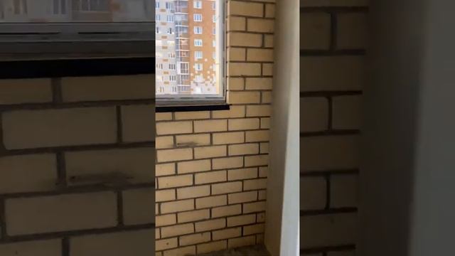 Мкр Олимп Квартира смотреть онлайн