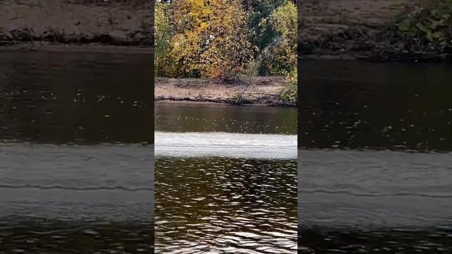 30.09.23! Самара - город курорт! смотреть онлайн