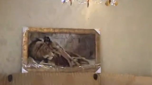 отдых в Крыму смотреть онлайн