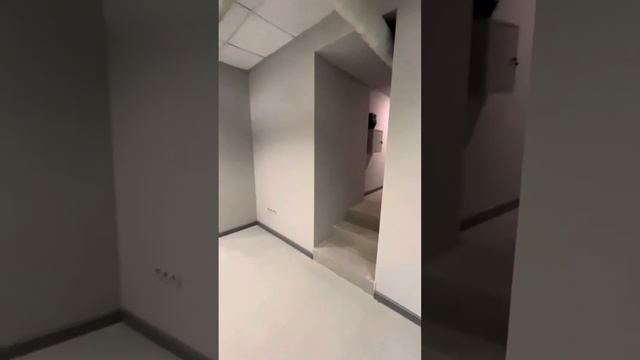 Аренда помещения 75 кв.м. на Переведеновском пер. 16. смотреть онлайн