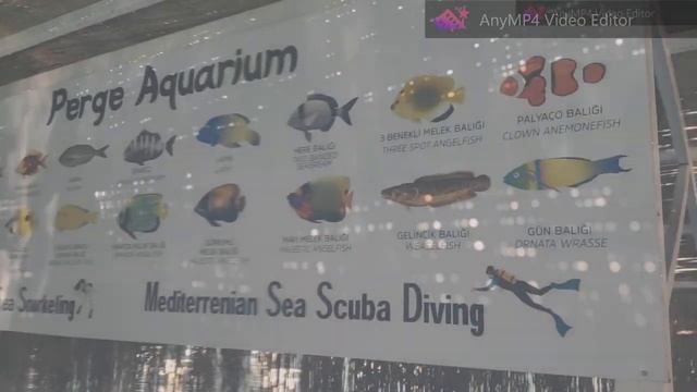 Miarosa Kemer Beach - Turcja смотреть онлайн