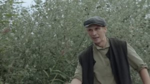 ОТКУДА У ПРОСТОГО ПЕНСИОНЕРА ВЗЯЛОСЬ ЦАРСКОЕ ЗОЛОТО? ОНО ЕГО И ПОГУБИЛО... | ВЕЩДОК