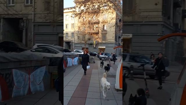 проспект Руставели.Тбилиси.Грузия.Январь 2023 год. смотреть онлайн