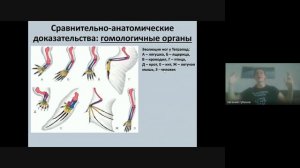 Доказательства эволюции