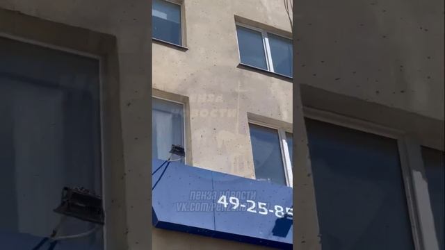 В Пензе около дома № 4 на ул. Дзержинского, напротив ТЦ «Суворовский» нашествие пчёл. смотреть онлайн