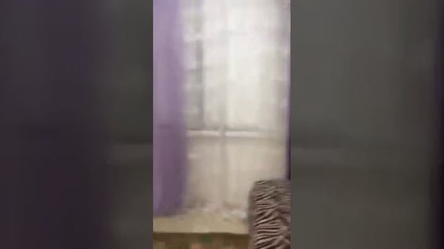 аренда квартиры Новороссийская 4 смотреть онлайн