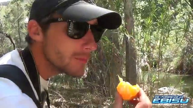 Отдых в Испании Поход по пейзажному ущелью рядом с Испанским городом Чулийа Ruta Chulilla смотреть онлайн