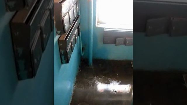 САРАТОВ 30.01.2012 ПОТОП В ПОДЬЕЗДЕ.wmv смотреть онлайн