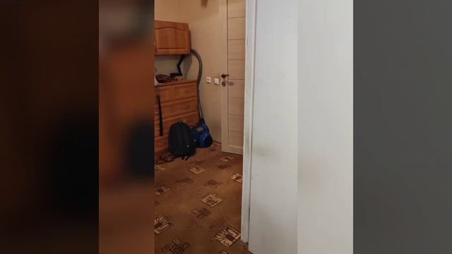 Аренда квартиры в Москве м.Преображенская пл, м.ВДНХ. 39кв.м. чистая,все есть, диваны новые,техник смотреть онлайн