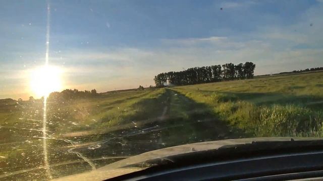 Роеловный сезон 2024г на Алтае открыт! смотреть онлайн