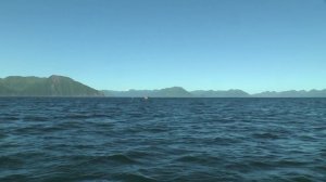 Русская Америка, байдарочное-пешая экспедиция на Аляску, остров Кадьяк (Анкоридж).