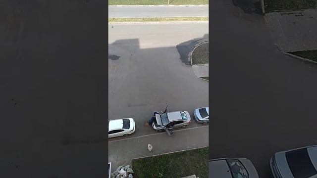 Квартира от Юго-Запада. смотреть онлайн