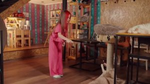 Моя кошка Lady Milana премьера клипа официальное видео