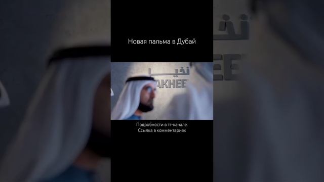 Новая пальма в Дубай. Подробности в комментариях #дубай #недвижимость #palmjumeira смотреть онлайн