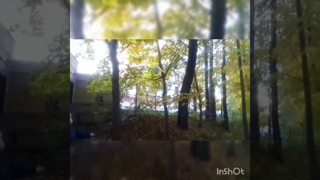 Среди тревог и вечной грусти :( смотреть онлайн