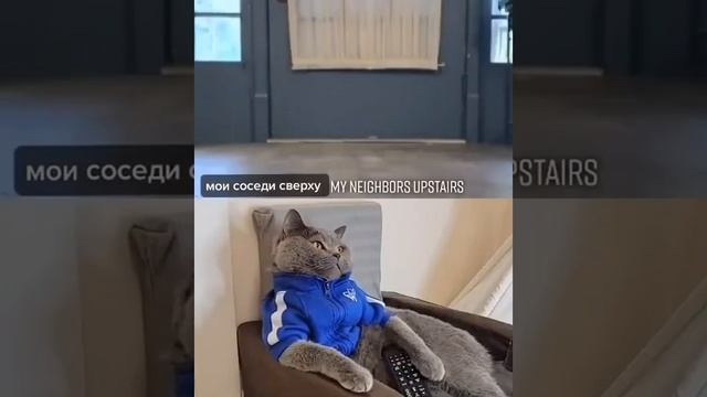 Мои соседи сверху🤣 смотреть онлайн