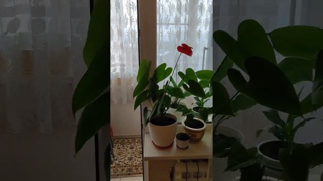 2-шка г. Апрелевка смотреть онлайн