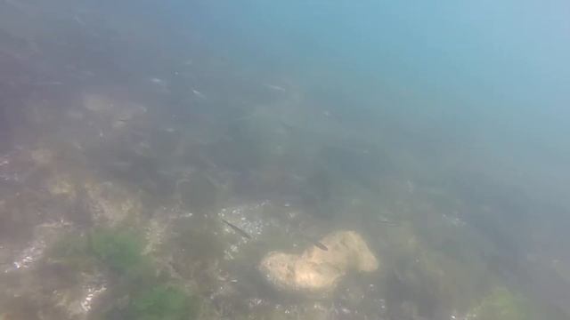 Подводная сьемка пляж поповка Одесса смотреть онлайн
