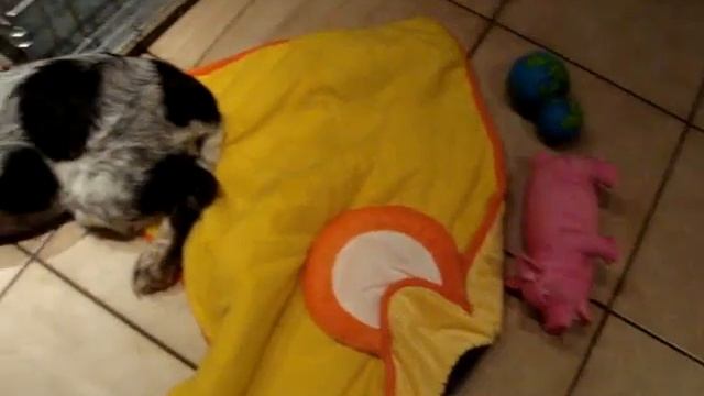Very busy Cian смотреть онлайн