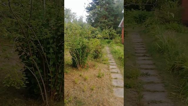 Подмосковье, Можайский район сентябрь 2022. смотреть онлайн