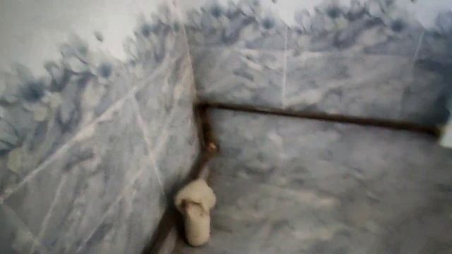 Жалал-Абад шаарынан жер үй сатылат (0704)-104-205 смотреть онлайн