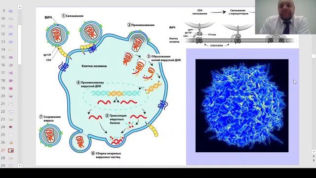 Лекция: 30.11.21, 16.10