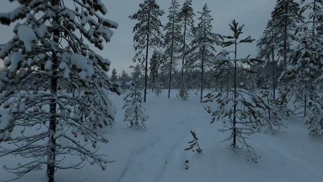 Erämaalatu Iso-Syöte Syötteen Kansallispuisto maisemat смотреть онлайн