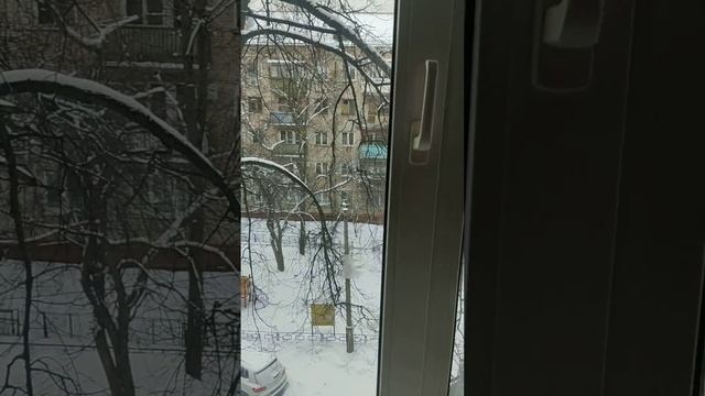 VID 20230306 145027 смотреть онлайн