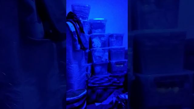 Переезд в Ростов смотреть онлайн