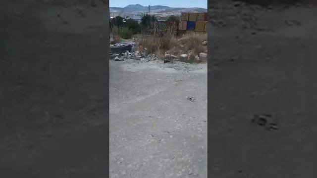 г.Новороссийск.Магнит.Стоянка.14.07.2022 г. Стоянка помойка. смотреть онлайн