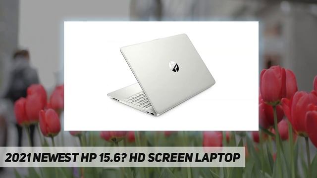 2021 Newest HP 15.6? HD Screen Laptop - Review 2023 смотреть онлайн