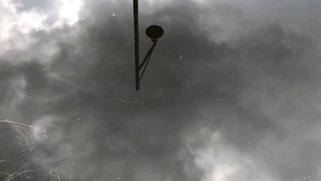 August 16, 2020 Streetlight Reflection смотреть онлайн