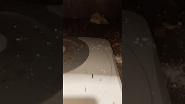 Аренда 2-к квартиры Москва, ул Зорге 32 смотреть онлайн