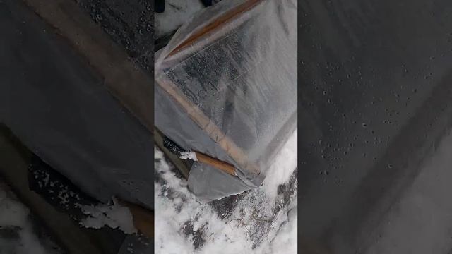 Парник хвойных зимой смотреть онлайн