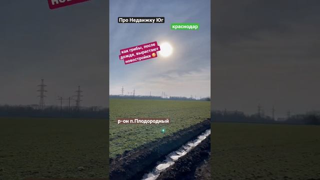 с какой стороны посмотреть 😉 с запада развитая инфраструктура и парк Галицкого, с востока - поле 🫢 смотреть онлайн