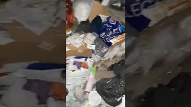 Грязь, зловоние и тараканы - квартира на Маресьева 75 смотреть онлайн