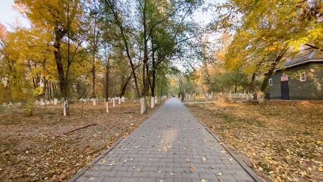 Walking To Alaman Stadium. Shymkent City (where Lives Borat)