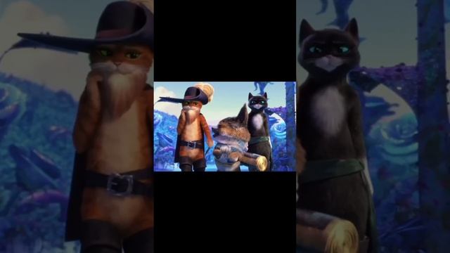 Etik Kiygan Mushuk 2