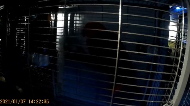 АНАПА ПРОГУЛКА НА РОЖДЕСТВО НАБЕРЕЖНАЯ, ТОЛПЫ НАРОДА)))) смотреть онлайн