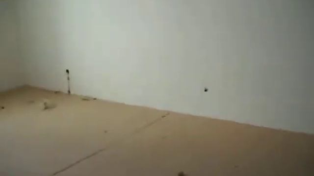 Вашуркин Игорь Олегович построил туалет в комнате Вашуркин обосрался на Каскаде в Новороссийске смотреть онлайн