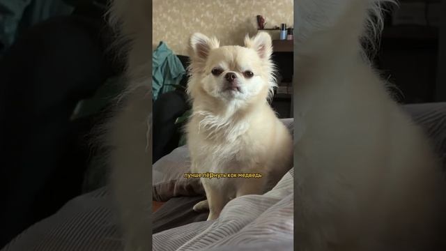 Запомните, а то забудите смотреть онлайн