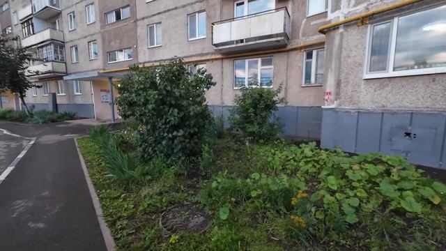 Уфа, самые красивые Цветы и ямы ИНОРСА, лето 2024