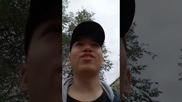 Жучки и Автор смотреть онлайн
