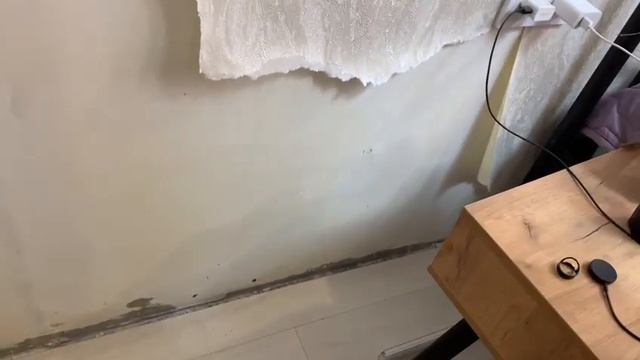 Удаление плесени со стен смотреть онлайн