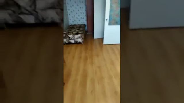 Сдаётся 1ккв. Новоизмайловский д.3 смотреть онлайн