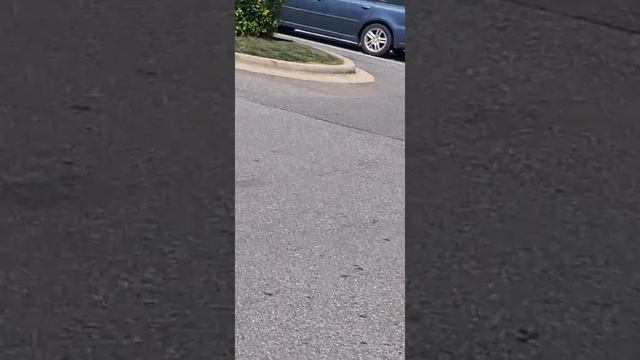 A gang stalker with every window in his car missing, yesterday смотреть онлайн