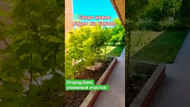 🌴Недвижимость Краснодарский край. Виктор Саликов 89245404992 смотреть онлайн