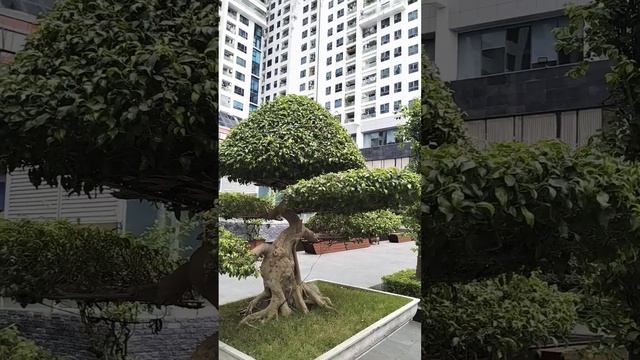 4 Tầng 1 Tum tuyệt vời смотреть онлайн