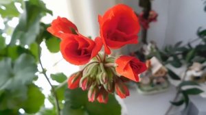 Диктофон в сумке жены уже записывал разговор, пока она даже не догадывалась  Истории измен